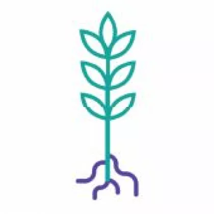 cpb